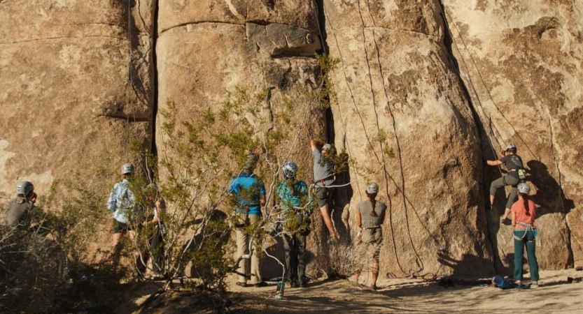 A group of people stand at the bottom of a rock face. Some are belaying climbers. 